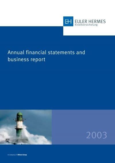 euler hermes financial statements 2020|Euler Hermes orsa report.